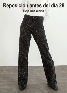 Jeans wide led strass