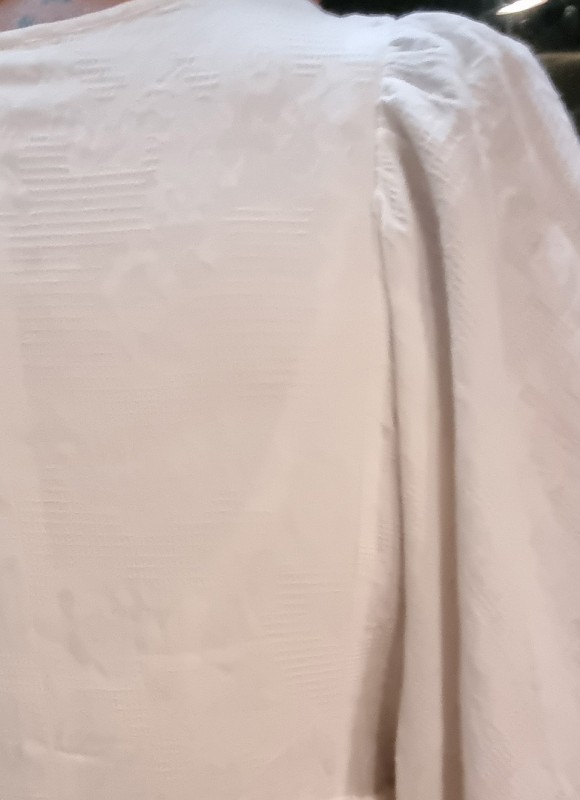 Vestido Mangas Abullonadas - Ropa de Fiesta | Premonición.online