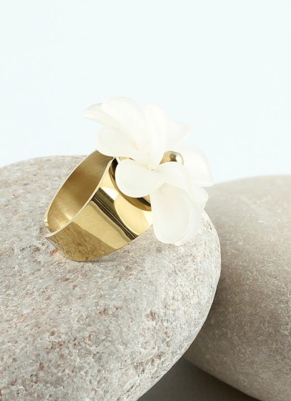 Anillo Acero