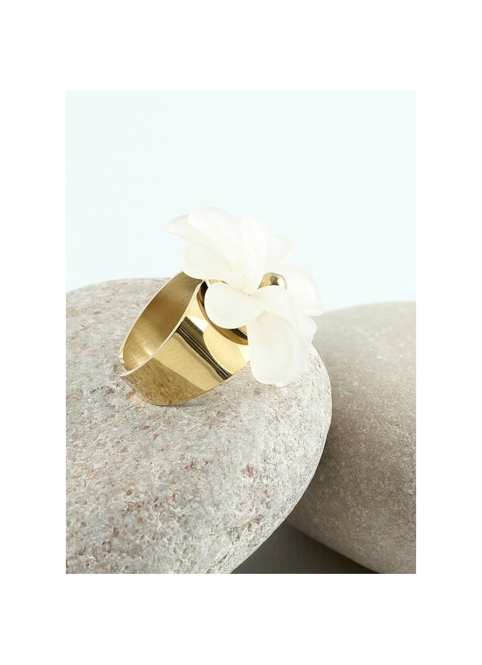 Anillo Acero