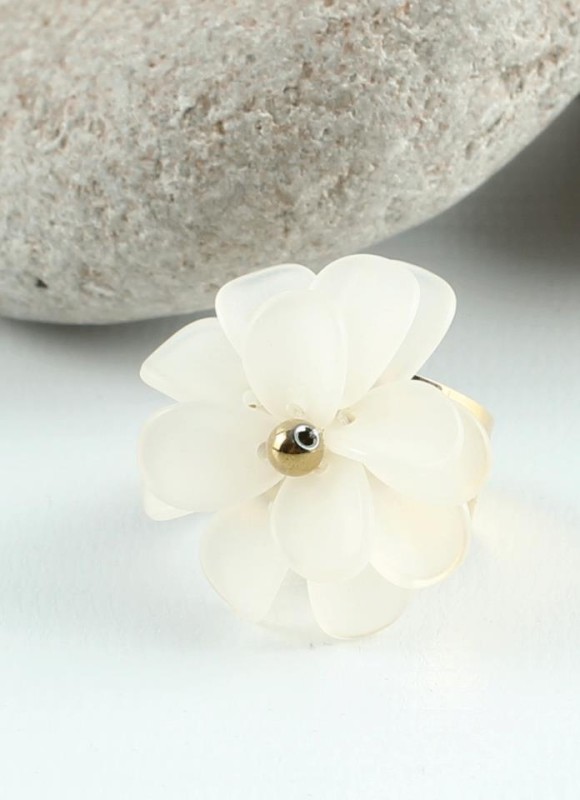 Anillo Acero