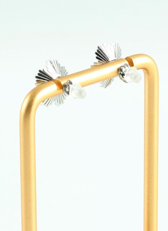 Pendientes acero