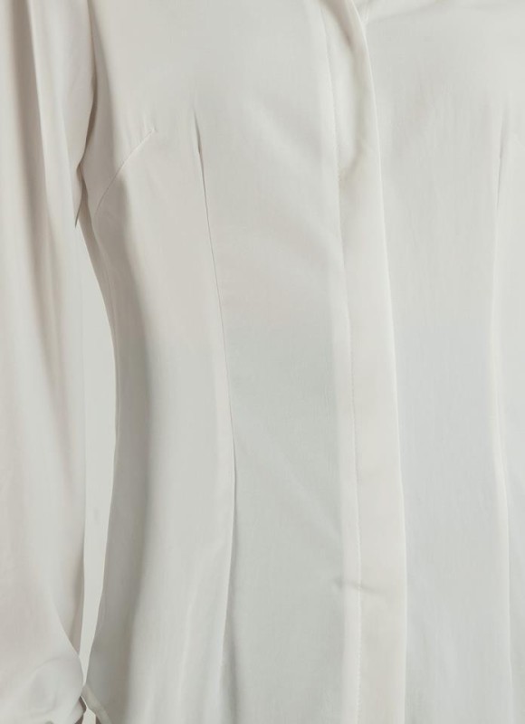 Camisa entallada pinzas