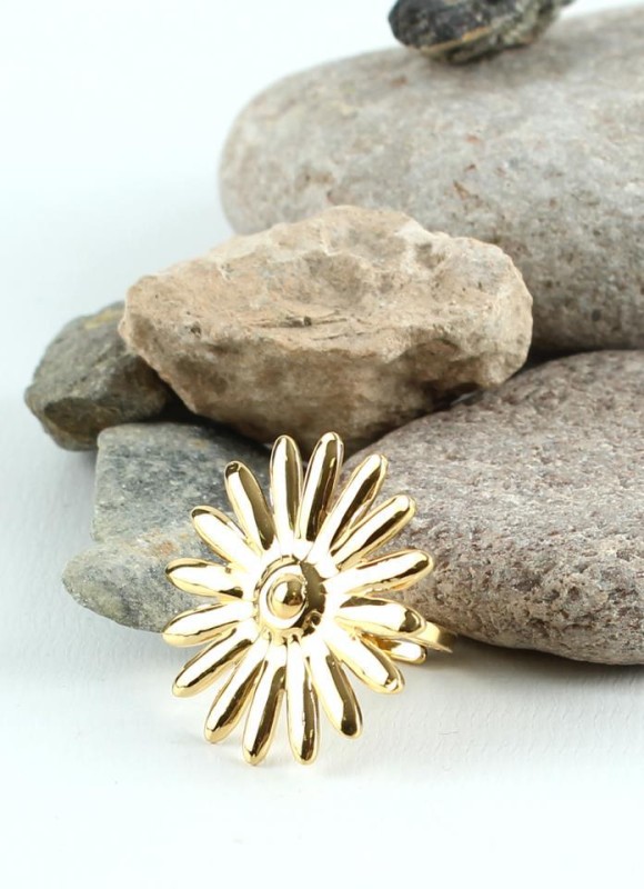 Anillo acero