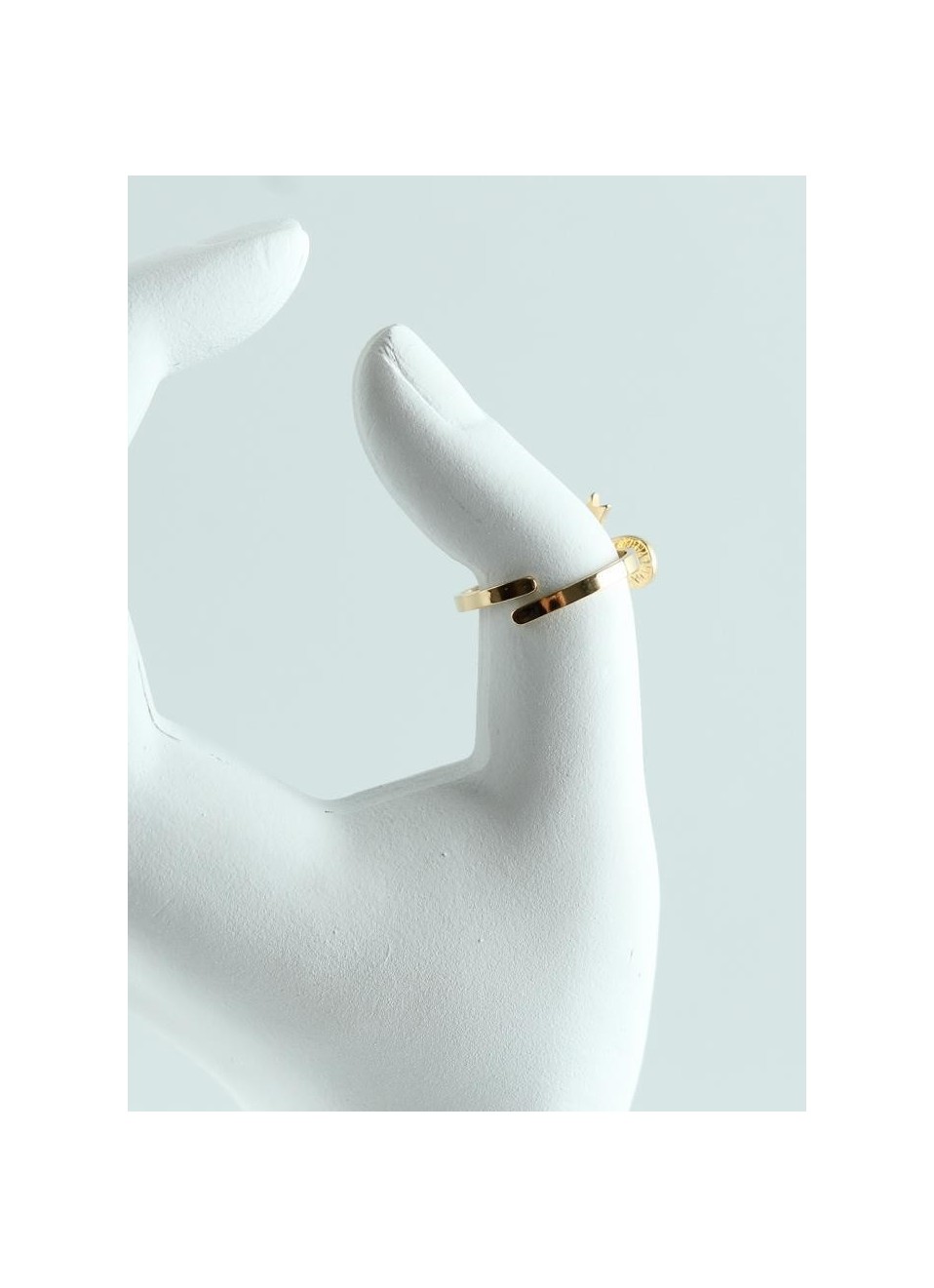 Anillo acero