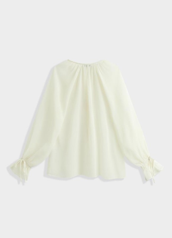 Blusa transparencias