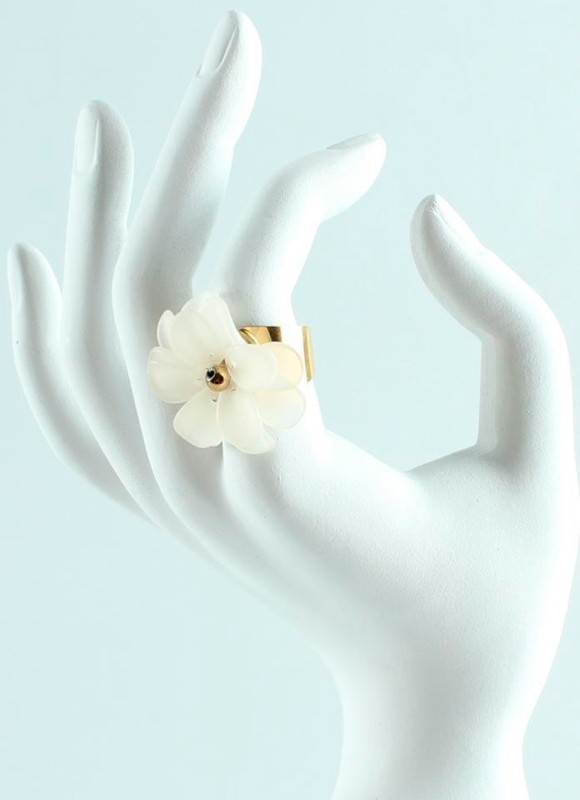 Anillo Acero