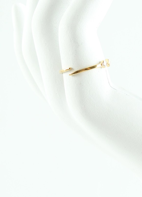 Anillos de Acero Inoxidable |Mujer | Dorados | Premonición.online