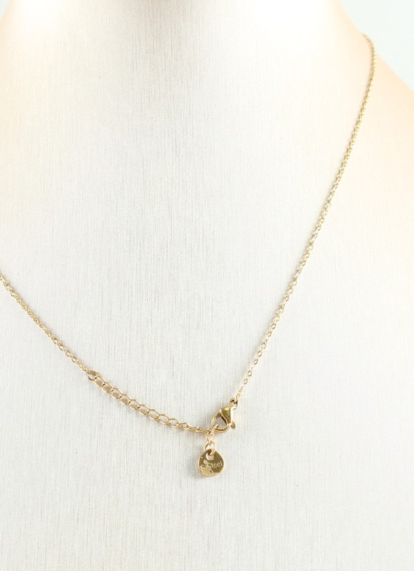 Collar de Acero Inoxidable para Mujer | Elegante | Premonición.online